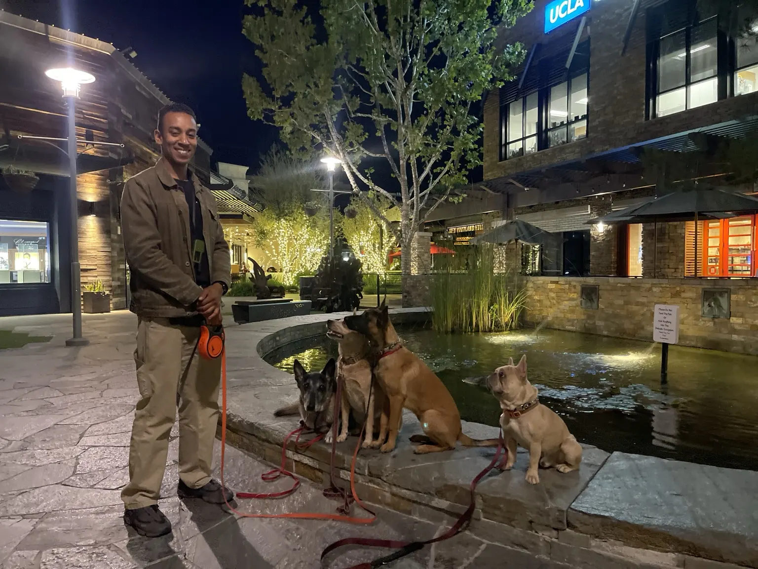Phillip handling a group of dogs in a public setting at night