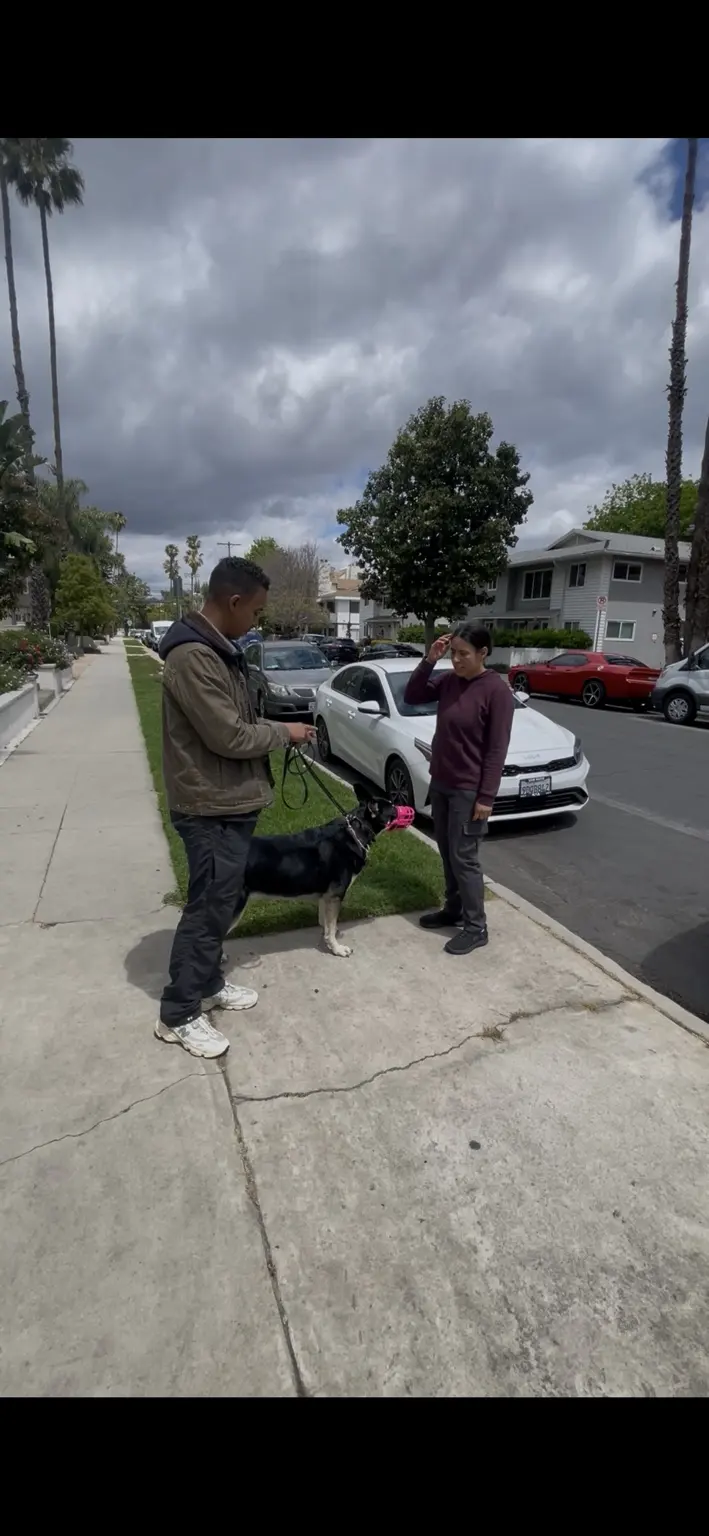 Phillip coaching a client and dog on a neighborhood walk