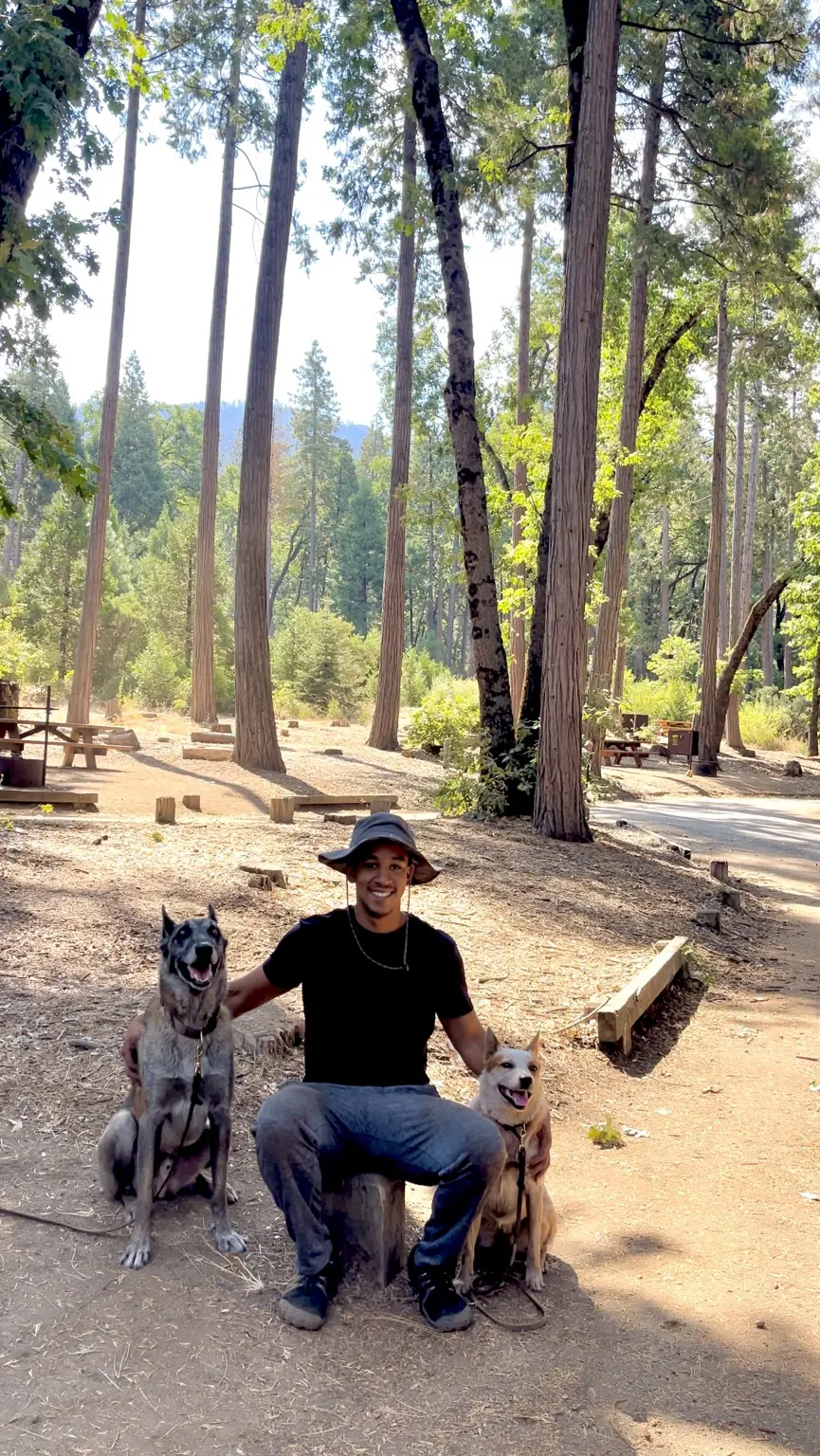 Phillip exploring a wooded trail with two dogs